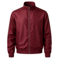 Silk Windbreaker - Wylsha Jackets